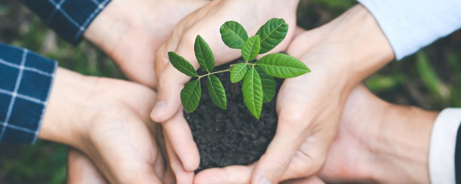 Fiducoldex refuerza su compromiso con el medio ambiente